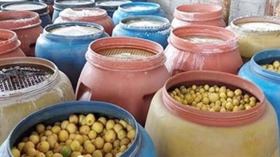 ضبط 30 طن مخللات فاسدة داخل مصنع بدون ترخيص بالجيزة