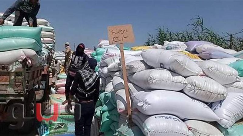 توريد القمح بالشرقية