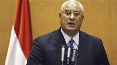 جهاد عودة: تحديد موعد الاستفتاء يؤكد التقدم نحو 