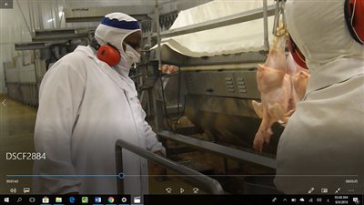 وكيل الأزهر: وضع رؤية شاملة لاعتماد شهادة صناعة الحلال (صور)