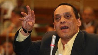 الصايغ: موعد إجراء الاستفتاء على الدستور مناسب من الناحية العملية