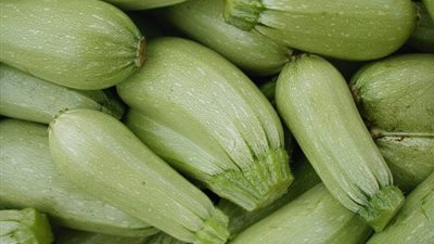 ريجيم الكوسة لإنقاص الوزن 