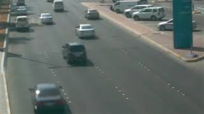 بالفيديو.. العناية الإلهية تنقذ سائقا سقطت أمامه نخلة فجأة