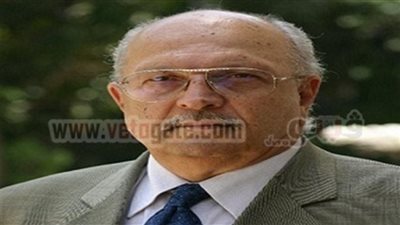 ياسين تاج الدين: مشاركة المواطنين في الاستفتاء يبطل ألاعيب الإخوان