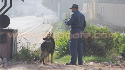بالصور.. «الأمن» يُمشط مهبط «طائرة مبارك» بالكلاب البوليسية