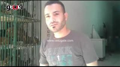 بالفيديو.. الدجاج الأبيض يسجل 24.5 جنيها بالأسواق اليوم