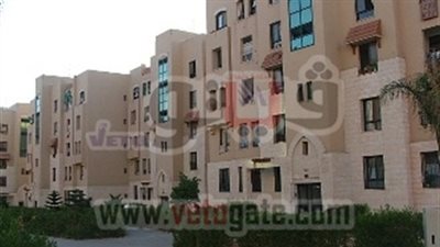 رجال الأعمال بالشيخ زايد يطالبون بضمان حرية الاستثمار