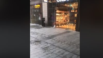طائر يسرق سوبر ماركت بطريقة ماكرة (فيديو)
