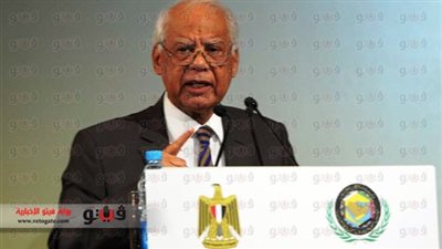 الببلاوي يتوقع مشاركة الإخوان في الاستفتاء سرّا