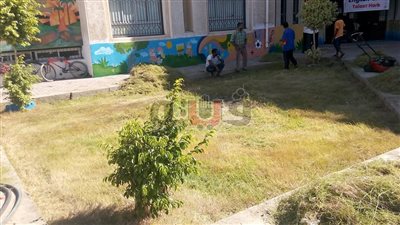 بالصور.. تشجير محيط مدرسة طلعت حرب ببورفؤاد