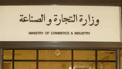 «الصناعة» توقف قيد 5 شركات في سجل المستوردين