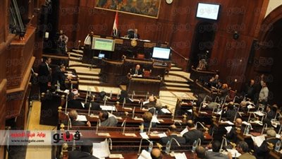 عضو بـ«الخمسين»: إقرار الدستور يمنح الدولة برلمانًا يراقب الحكومة