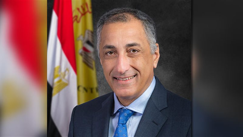 طارق عامر، محافظ