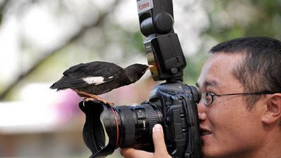 بالصور.. «جوجل» يختار أكثر 10 صور «كوميدية» في العالم.. فتاة ترقص بشكل غريب.. زوجة توجه ضربة قاضية لزوجها.. طفل يختبئ في قميص والده.. كلب يلتهم البيتزا.. وأرنب «خجول»