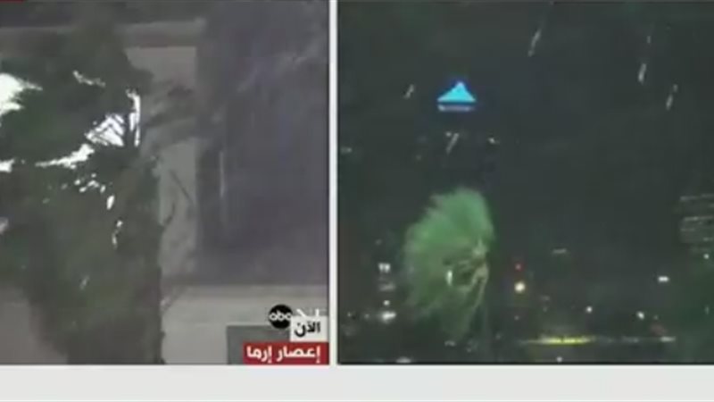 فيتو