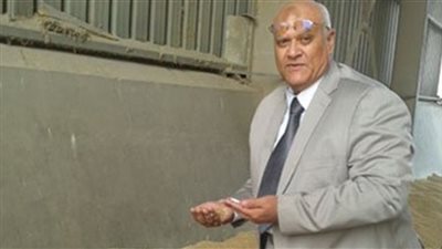 وكيل تموين الجيزة يستغيث بالبرلمان لإسقاط جزاءات التنبيه من ملفه