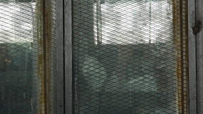 بدء محاكمة مرسي بقضية التخابر مع حماس