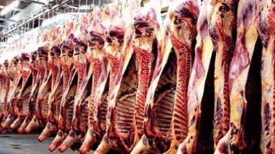 مسئولو الطب البيطرى: «لو عملنا حملات في العيد الناس هتهاجمنا»