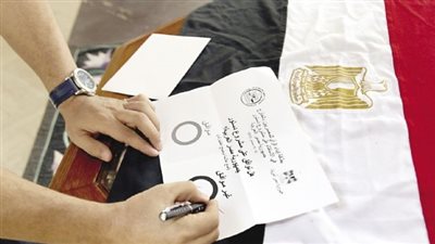 دعوى تطالب بوقف الاستفتاء على الدستور الجديد