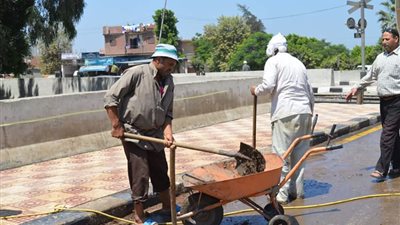 رئيس مدينة المحلة يتابع أعمال النظافة بعزبة أبو وافي (صور)