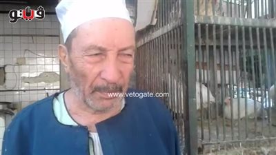 بالفيديو.. الدجاج الأبيض يسجل 25 جنيها للكيلو جرام في الدقي