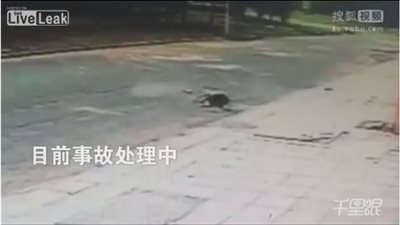 بالفيديو.. لحظة مصرع رجل سقط من الطابق السادس