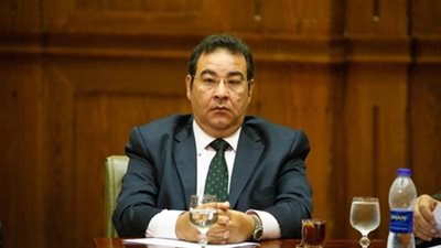 الخولي: منح الجنسية أبناء الزواج العرفي من أجانب حكم واجب النفاذ