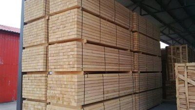 قرار وزارة النقل بشأن المحاسبة المالية عن تخزين الأخشاب