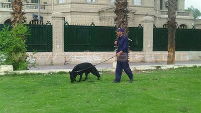 بالفيديو والصور.. الأمن يمشط محيط جامعة القاهرة استعدادا لزيارة الرئيس