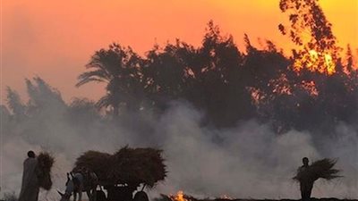 تحرير 21 مخالفة حرق قش أرز في عيد الأضحى بالبحيرة