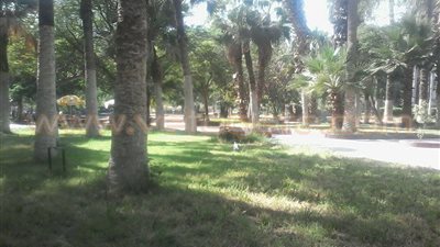 بالصور..إقبال ضعيف على حديقة الأسماك في ثاني أيام عيد الأضحى