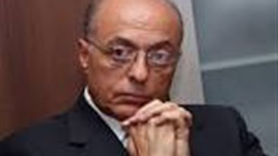 «سيف اليزل»: الجيش والشرطة لن يسمحا بالخروج على القانون في الاستفتاء