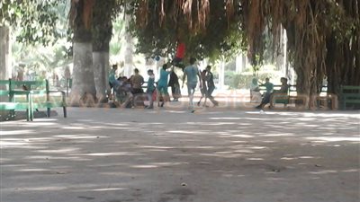 بالفيديو والصور .. فروع الأشجار وسيلة ترفيه الأطفال بحديقة الأسماك