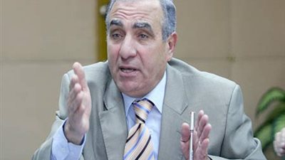 الجندي: الحكومة تجرم الإفصاح عن البيانات الفردية