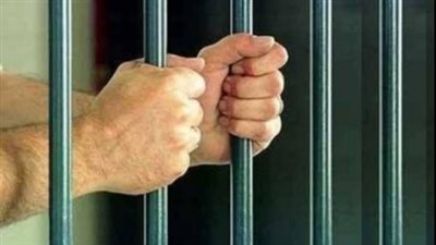 حبس محام لقيادته سيارة بأوراق ولوحات مزورة بالإسماعيلية