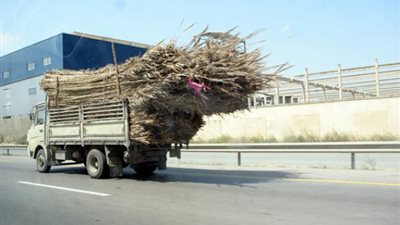 تحرير 1404 قضايا ظواهر سلبية بوسائل النقل و18 مصنفات