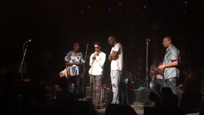 عازف الأوكورديون وائل السيد يشارك «بلاك تيما» الاحتفال بعيد ميلاده