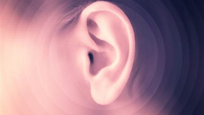 مصدر: بصمة الأذن وسيلة مستحدثة في التحقيق الجنائى لكشف الجريمة