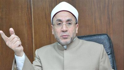 «عفيفي»: كلمة الطيب في مؤتمر «ألمانيا» اتسمت بالصراحة والمواجهة