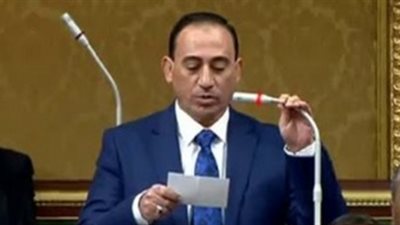 النائب محمد زين الدين: نحتاج رقابة صارمة على المبيدات الزراعية