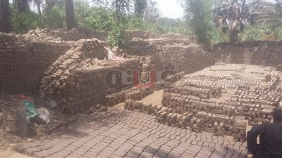 إزالة 9 حالات تعد على أراضي أملاك الدولة بالزينية في الأقصر