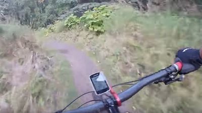 بالفيديو والصور.. دب يعترض راكب دراجة