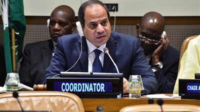 «السيسي» يستعرض المبادرة المصرية لمواجهة التغيرات المناخية