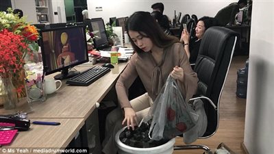 بالفيديو والصور.. موظفة تطهو دجاجة بمقر عملها باستخدام تربة زراعية