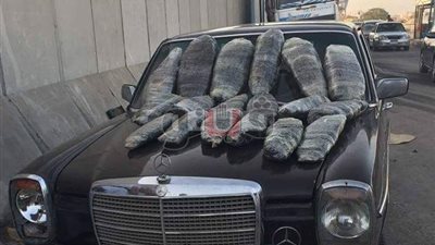 جمارك بورسعيد تحبط محاولة تهريب كمية كبيرة من البانجو