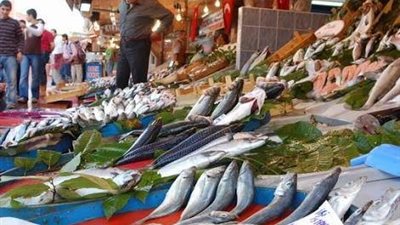 استقرار أسعار اللحوم والأسماك بالأسواق.. وتوقعات بارتفاع الدواجن