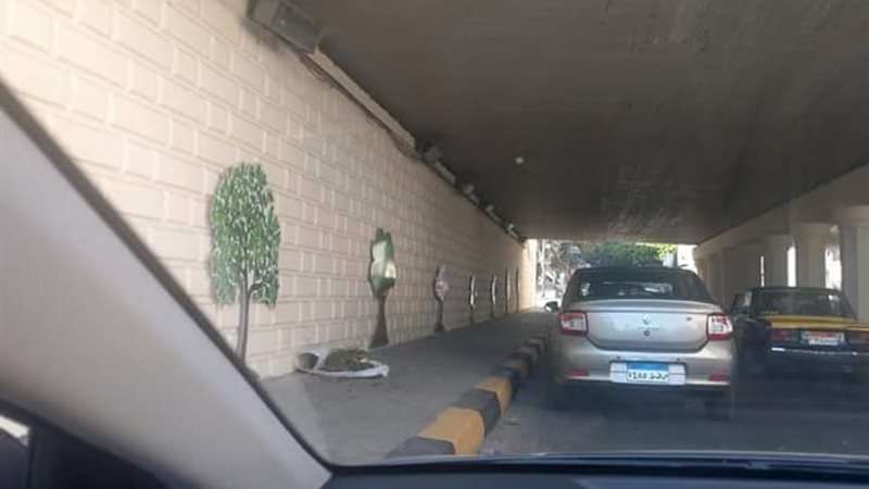 فيتو