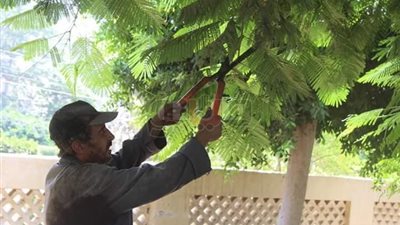 أحياء المنصورة ومصيف جمصة تستعد لاستقبال عيد الأضحى