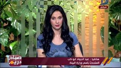 «البيئة»: نبحث مع وزارة الاستثمار تحويل «قش الأرز» لمصادر طاقة