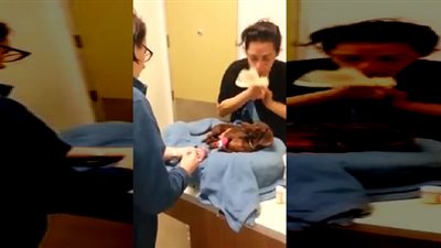 رد فعل صادم لامرأة مات كلبها (فيديو)